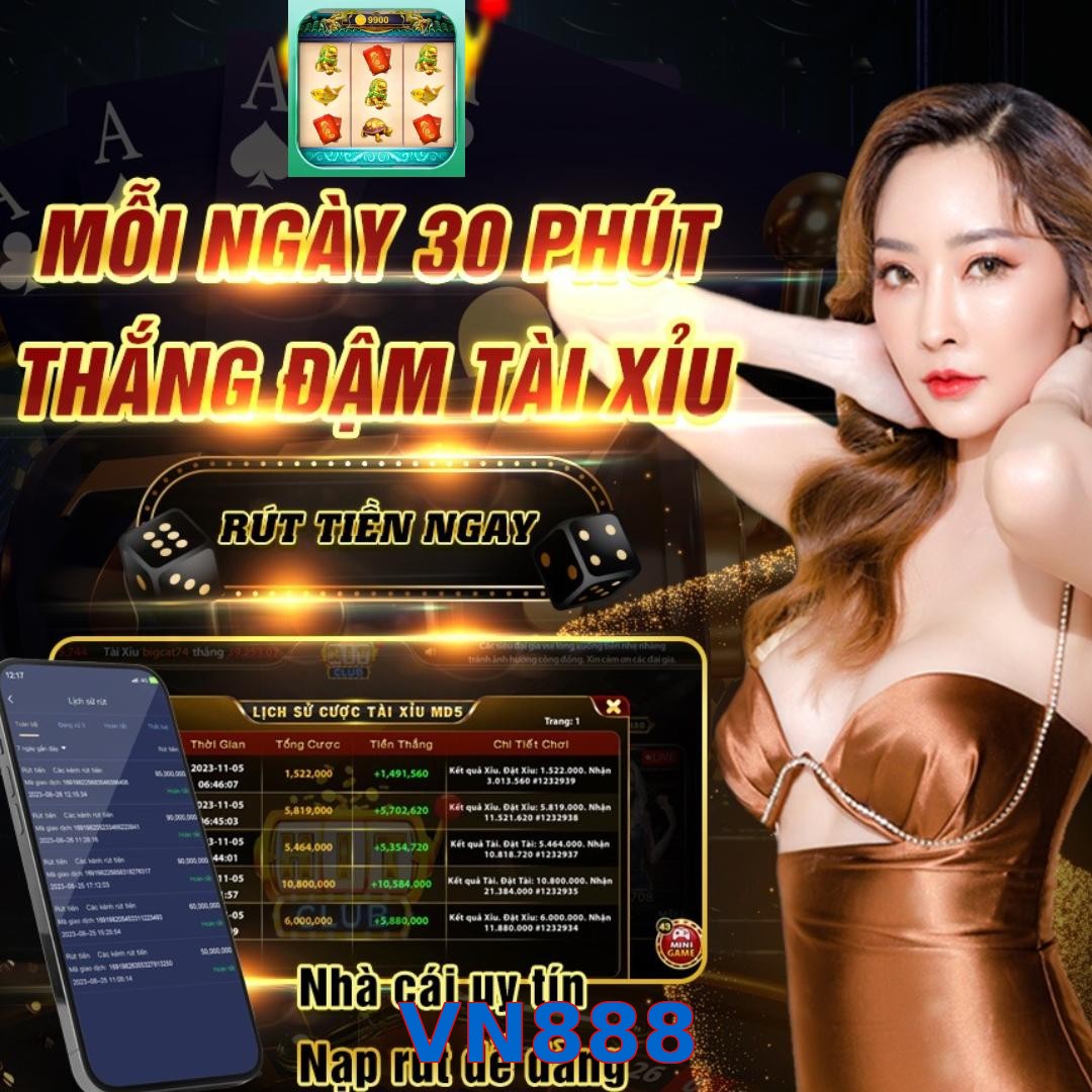 VN888
